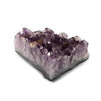 Natural History - Amethyst Crystal Geode Segment