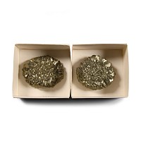 Natural History - Boxed Pyrite 'Fool's Gold' Crystal Rose Pair [2]
