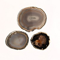 Natural History - Grade A Cut and Polished Agate Slice Collection [3]