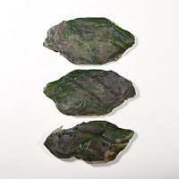 Natural History - Malachite Slice Group [3]
