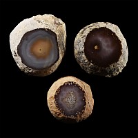 Natural History - Cut and Polished Agate 'Window' Group [3]