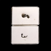 Natural History - Cased Native Silver Wire Specimen Group [2]