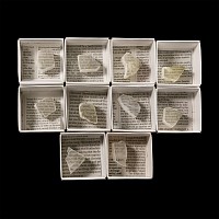 Natural History - Boxed Selenite Mineral Specimen Group [10]