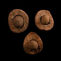 Natural History - Kalahari Desert Wind Stone Group [3]