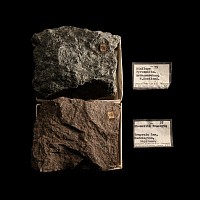 Natural History - Historic Boxed Diallage Pyroxenite and Phonolite Trachyte Mineral Samples From Ardnamurchan and Traprain Law, Haddington [2]