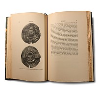 Archaeological Books - Coffey - The Bronze Age in Ireland