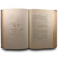 Archaeological Books - Warne - Ancient Dorset - The Celtic, Roman, Saxon, and Danish Antiquities of the County