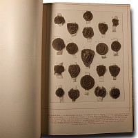 Archaeological Books - Ilgen - Die Westfalischen Siegel des Mittelalters