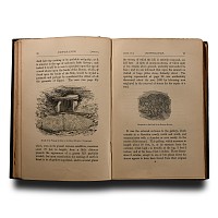 Archaeological Books - Wakeman - Hand-Book of Irish Antiquities, Pagan and Christian