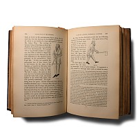 Archaeological Books - Wilde - Catalogue of The Antiquities of Stone, Earthen, and Vegetable Materials, in the Museum of the Royal Irish Academy