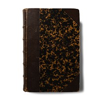 Archaeological Books - Wilde - Catalogue of The Antiquities of Stone, Earthen, and Vegetable Materials, in the Museum of the Royal Irish Academy