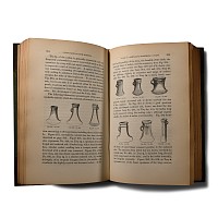 Archaeological Books - Wilde - Catalogue of The Antiquities of Animal Materials and Bronze, in the Museum of the Royal Irish Academy