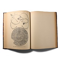 Archaeological Books - Armstrong - Guide to the Collection of Irish Antiquities - Catalogue of Irish Gold Ornaments