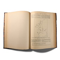 Archaeological Books - Armstrong - Guide to the Collection of Irish Antiquities - Catalogue of Irish Gold Ornaments