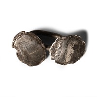 Post Medieval Cufflink from the Shipwreck of HMS Colossus