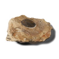 Large Stone Age Twydall Knapped Flint Scraper Tool