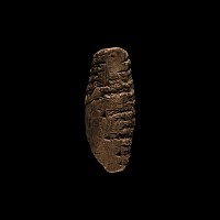 Old Babylonian Cuneiform Letter Tablet