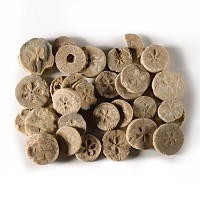 Romano-Egyptian Limestone 'Floral' Inlay Group