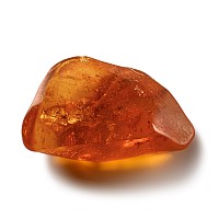Natural History - Large Polished Baltic Amber with Insect Inclusions
