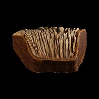 Miniature Book with Qu'ranic Prayers