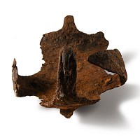 Roman Iron 'Hipposandal' Military Ice Horseshoe