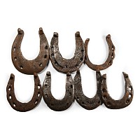 Medieval Iron Horseshoe Group