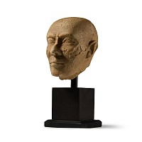 Egyptian Limestone Head of a Priest