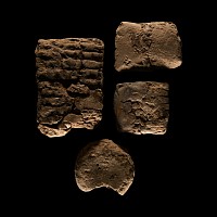 Mesopotamian Cuneiform Tablet Fragment Group