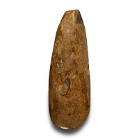 Stone Age Polished Stone Axehead