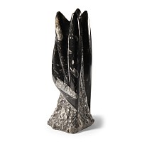 Natural History - Polished Fossil Orthoceras Column