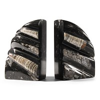 Natural History - Polished Orthoceras Fossil Book End Pair