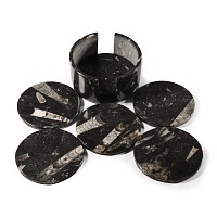 Natural History - Polished Fossil Orthoceras Coaster Set