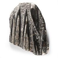 Natural History - Polished Orthoceras Fossil Column