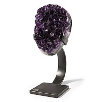 Natural History - Amethyst Crystal Display