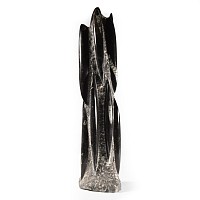 Natural History - Polished Fossil Orthoceras Column