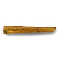 Natural History - Polished Copal with Insects