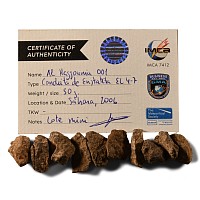 Natural History - Group of Al Haggounia 001 Meteorites