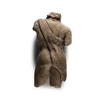Roman Style Marble Torso with Lionskin