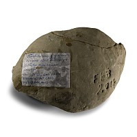 Natural History - Fossil Giganteus Crab