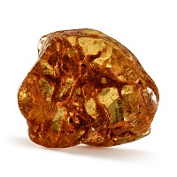 Natural History - Large Polished Copal Amber with Termite Nest and Termites
