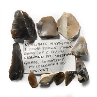 Stone Age Flint Microlith Group