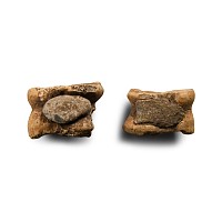 Roman Bone with Lead Knuckle Bone Gaming Piece Pair