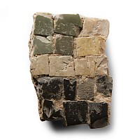 Roman Floor Mosaic Section
