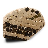 Roman Floor Mosaic Section