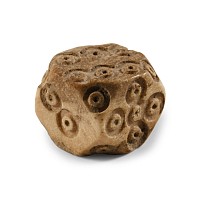 Roman Bone Gaming Dice