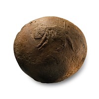 Western Asiatic Stone Bowl with Locusts