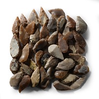 Stone Age Knapped Leaf-Shaped Arrowhead Collection