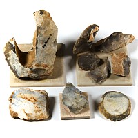 Stone Age British Knapped Flint Tool Group