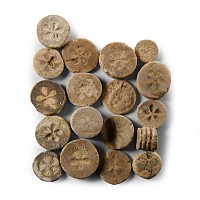 Egyptian Limestone 'Floral' Inlay Group