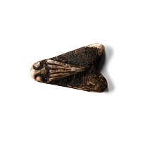 Egyptian Silver Fly Amulet